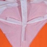 Fato Proteo Qumica Descatvel DT125 DeltaPlus