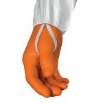 Fato Proteo Qumica Descatvel DT125 DeltaPlus