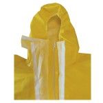 Fato Proteo Qumica Descartvel DT300Y DeltaPlus