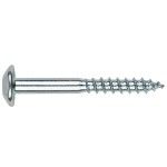Parafuso Inviolvel TX INV-N Index Zincado  (M6x70mm)
