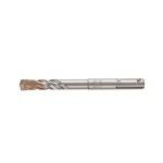 Broca SDS Plus Extreme de 2 Cortes Dewalt  (10x110mm)